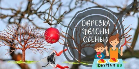 Есенна резитба за начинаещи + формиране на корона